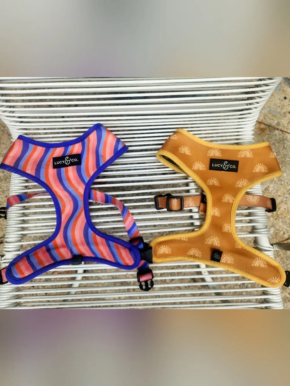 Dog Harness
